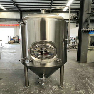 300L單只發酵罐